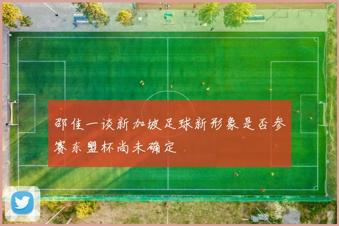 邵佳一谈新加坡足球新形象是否参赛东盟杯尚未确定